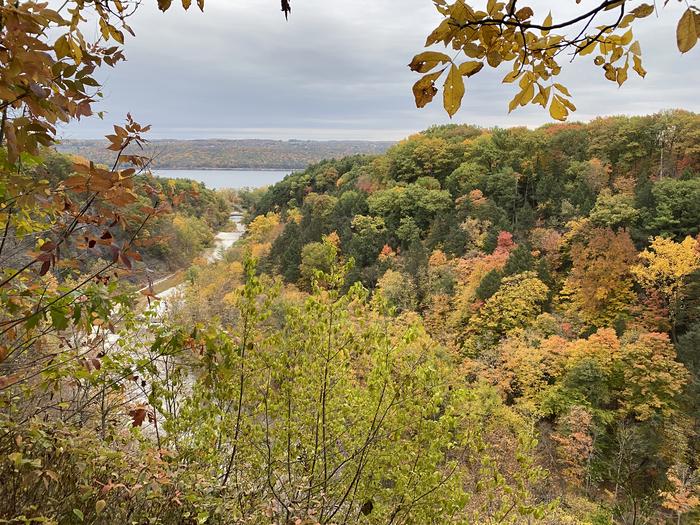 The mouth of the gorge opening to Cayuga Lake The mouth of the gorge opening to Cayuga Lake