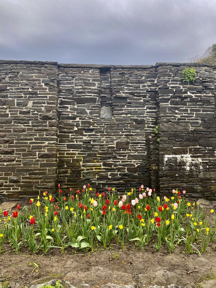 Beautiful flower beds Beautiful flower beds