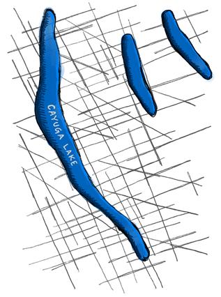 Fractured angular joints, illustration adapted from park signage by Scott Dawson Fractured angular joints, illustration adapted from park signage by Scott Dawson